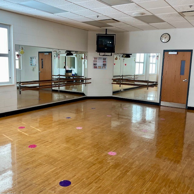 Studio with hardwood floor and ballet barre